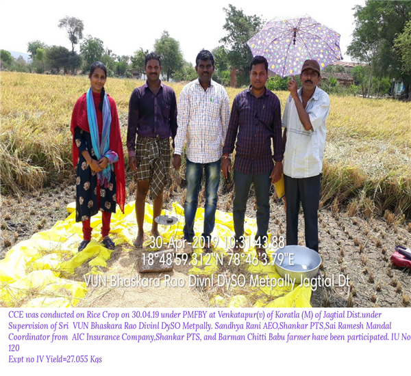 Jagitial District - Metpalle Division                                                                                                                                                                                                                      - Crop Cutting Expts.,                                                                                                                                   - CCE conducted under PMFBY at Venkatapur(v) of Korutla Mdl Jagtial Dt. under supervision of Divnl DySO Metpally                                                                                                                                                  - dt.30/04/2019          